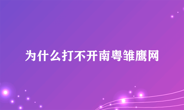 为什么打不开南粤雏鹰网