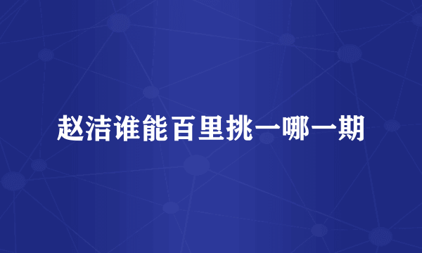 赵洁谁能百里挑一哪一期
