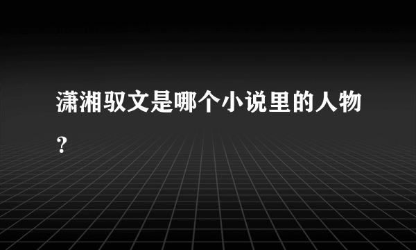 潇湘驭文是哪个小说里的人物？