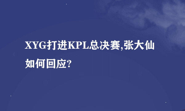 XYG打进KPL总决赛,张大仙如何回应?