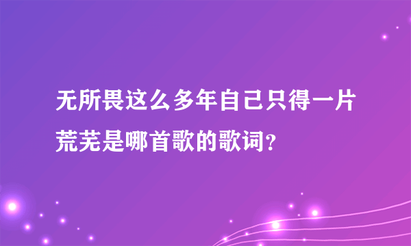 无所畏这么多年自己只得一片荒芜是哪首歌的歌词？