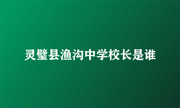 灵璧县渔沟中学校长是谁