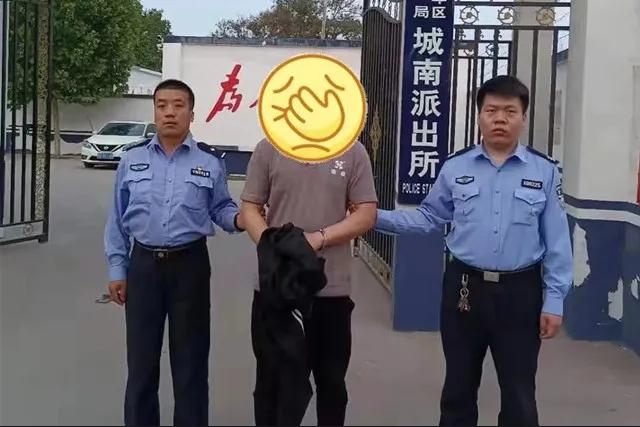 见财起意的生肖动物