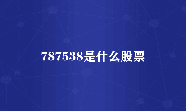 787538是什么股票