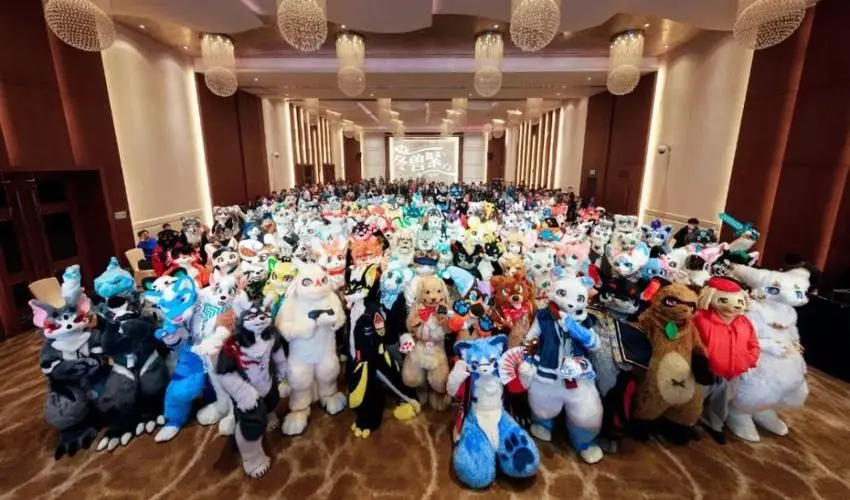 我为什么讨厌furry控？