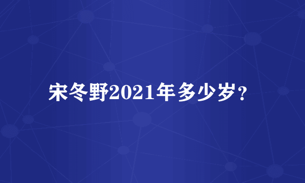 宋冬野2021年多少岁？