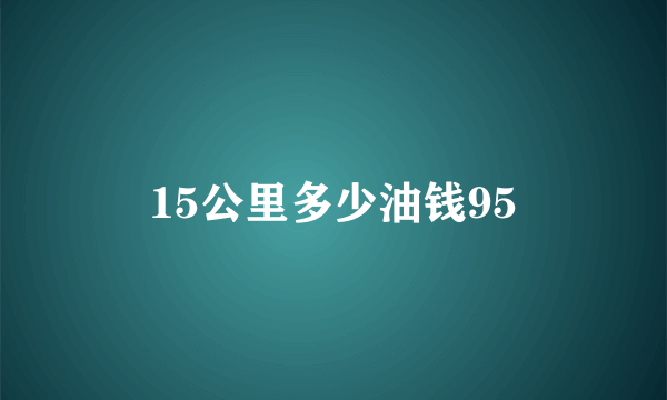 15公里多少油钱95