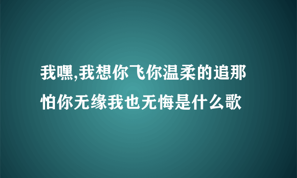 我嘿,我想你飞你温柔的追那怕你无缘我也无悔是什么歌