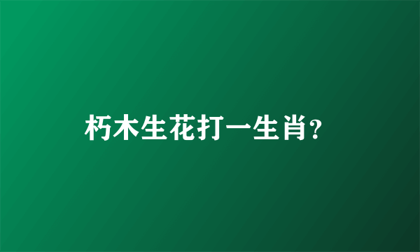 朽木生花打一生肖？