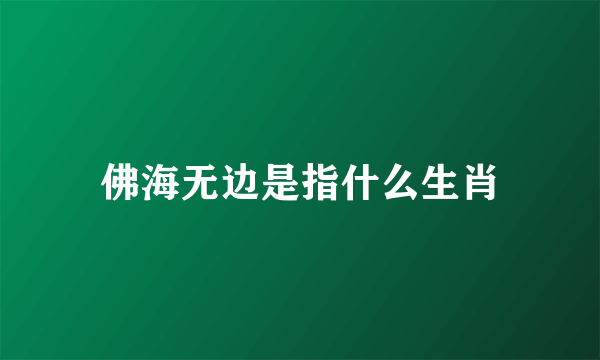 佛海无边是指什么生肖