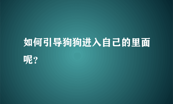 如何引导狗狗进入自己的里面呢？