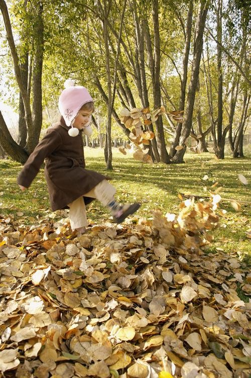 老师说今天随便我怎么玩,是什么意思?