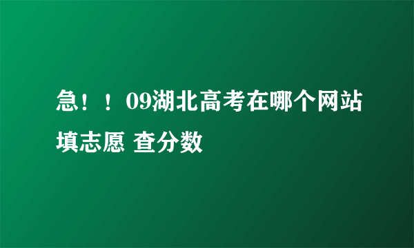 急！！09湖北高考在哪个网站填志愿 查分数