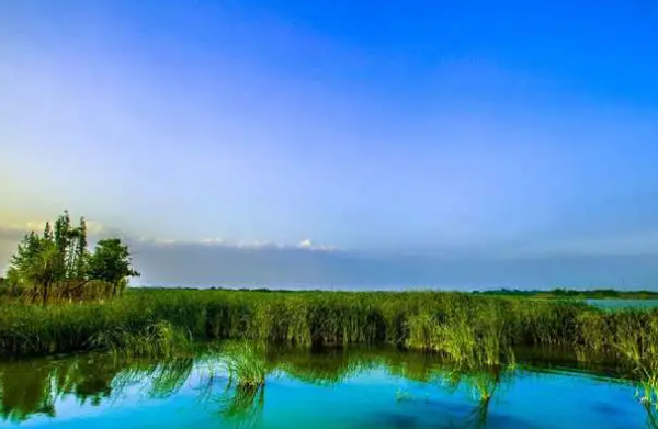 日文中字乱码一二三区别视频