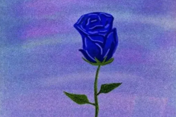 蓝色妖姬适合送给谁？