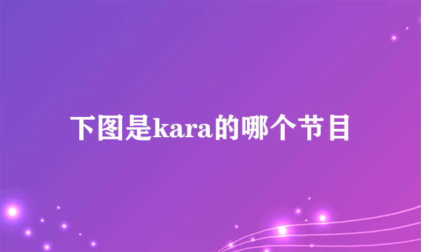 下图是kara的哪个节目