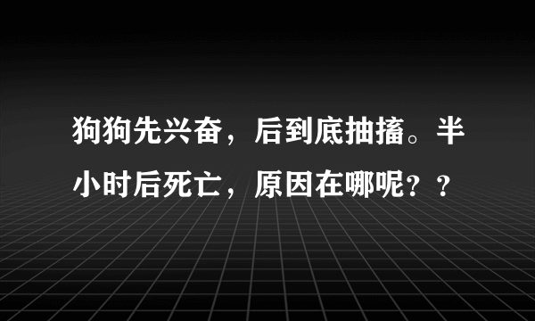 狗狗先兴奋，后到底抽搐。半小时后死亡，原因在哪呢？？