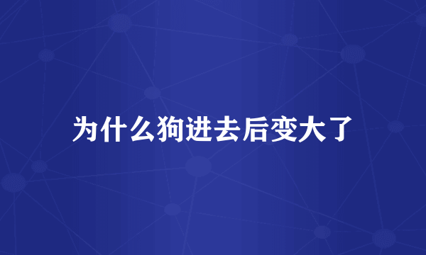 为什么狗进去后变大了