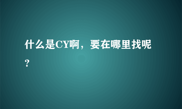 什么是CY啊，要在哪里找呢？