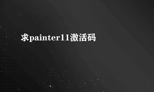 求painter11激活码