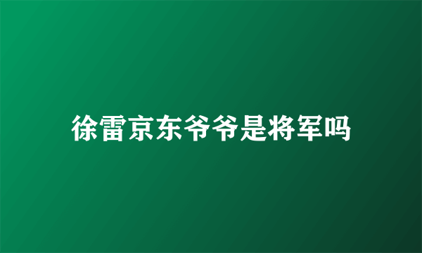 徐雷京东爷爷是将军吗