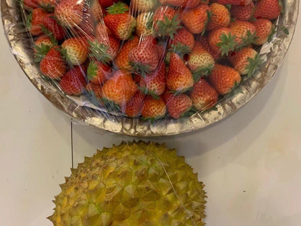 榴莲草莓未满十八岁的做法大全