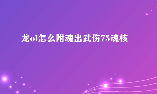 龙ol怎么附魂出武伤75魂核
