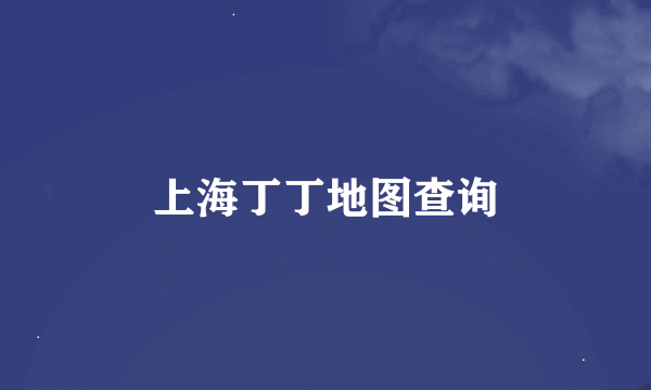 上海丁丁地图查询