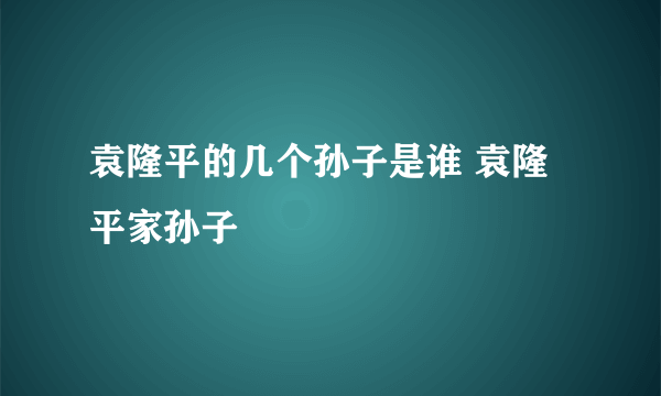袁隆平的几个孙子是谁 袁隆平家孙子