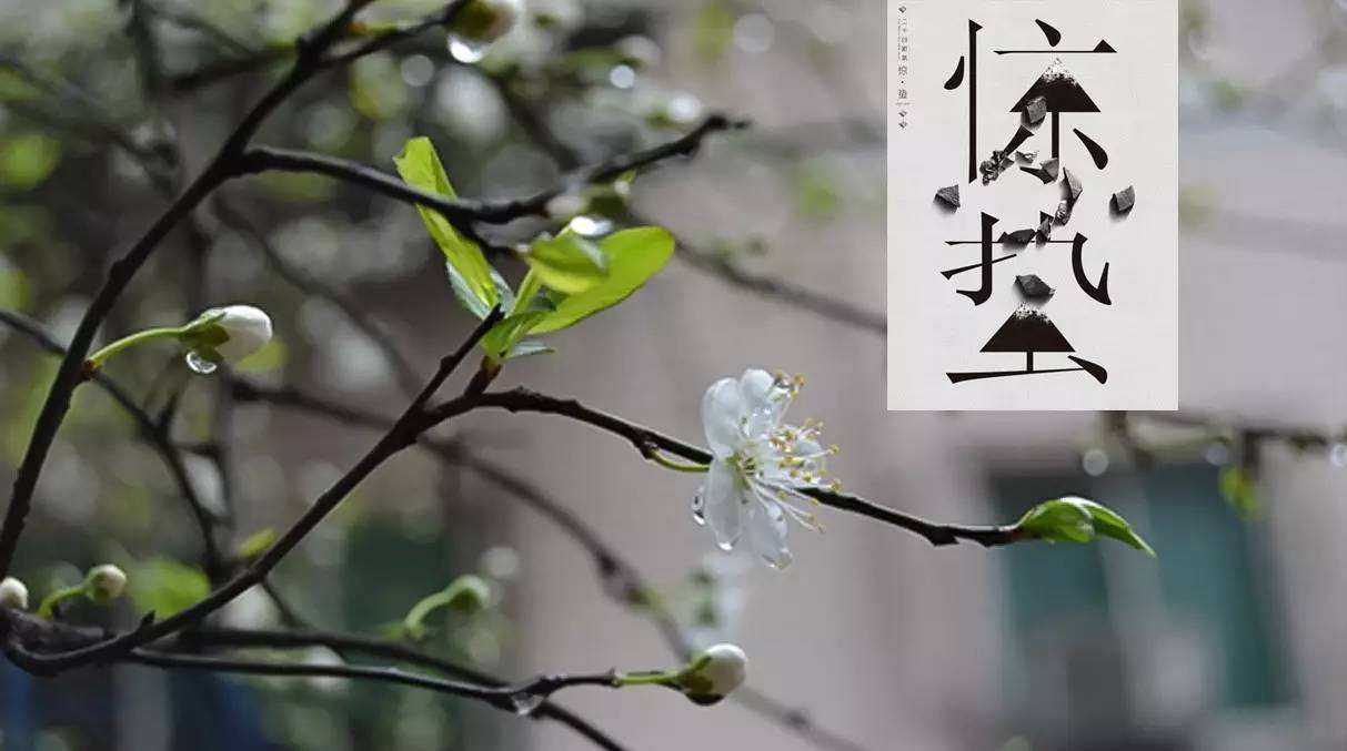 惊蛰(zhi)怎么变成惊蛰(zhe)的？我们这老人都是说惊蛰（zhi），古代怎么读？