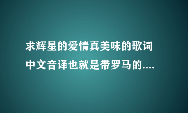求辉星的爱情真美味的歌词 中文音译也就是带罗马的....急！！！