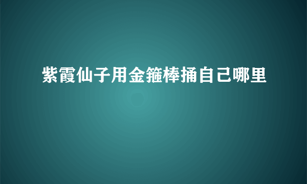 紫霞仙子用金箍棒捅自己哪里