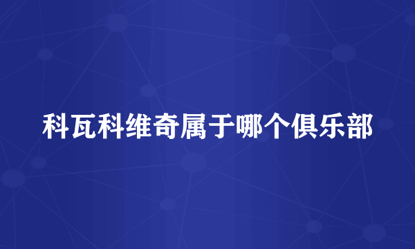 科瓦科维奇属于哪个俱乐部