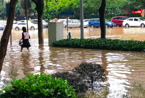 郑州小卖部大爷为居民免费供电,从大爷的善举中体现出了什么?