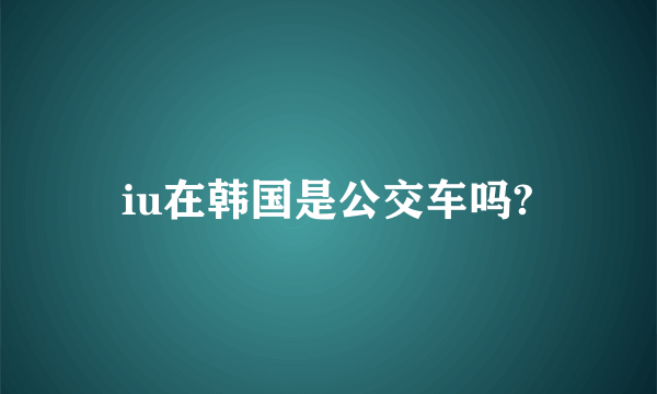 iu在韩国是公交车吗?