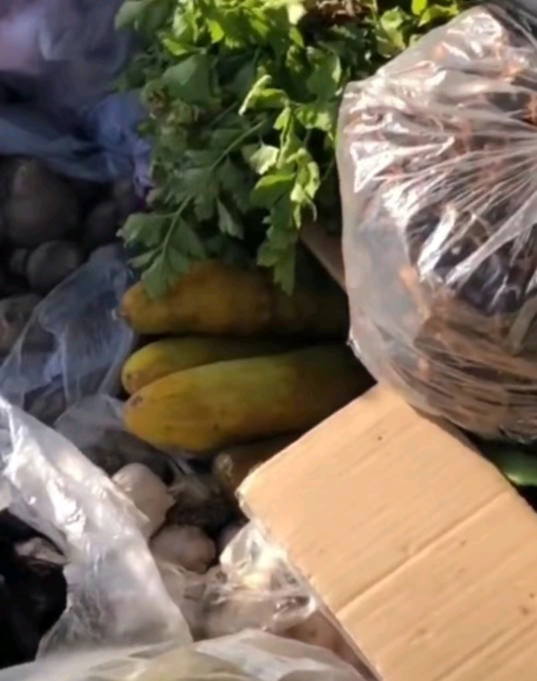 为什么每次回家父母都要准备一大堆东西呢？