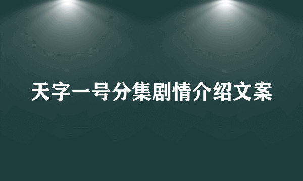 天字一号分集剧情介绍文案