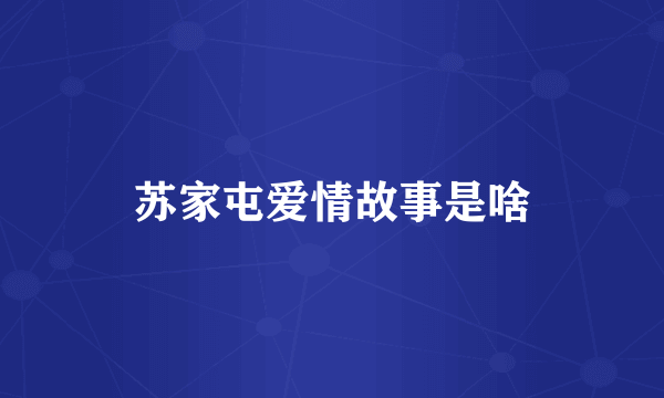苏家屯爱情故事是啥
