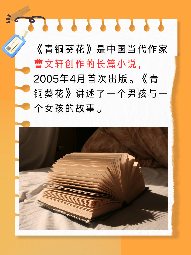 青铜葵花怎么成了禁书