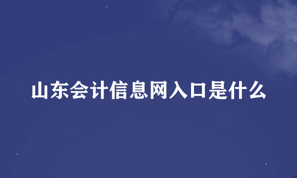 山东会计信息网入口是什么