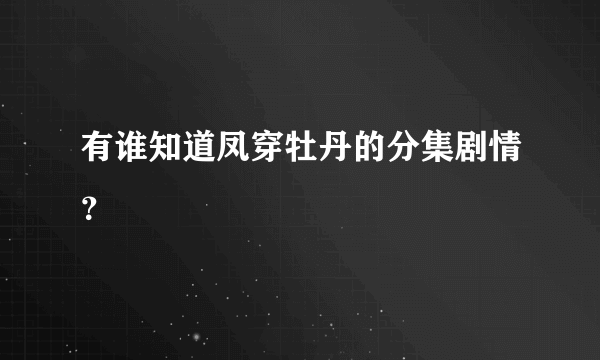 有谁知道凤穿牡丹的分集剧情？