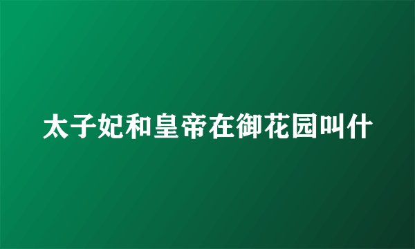 太子妃和皇帝在御花园叫什