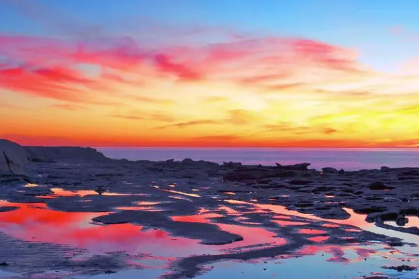 形容人文笔好有才华的句子