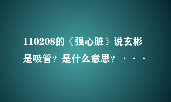 110208的《强心脏》说玄彬是吸管？是什么意思？···