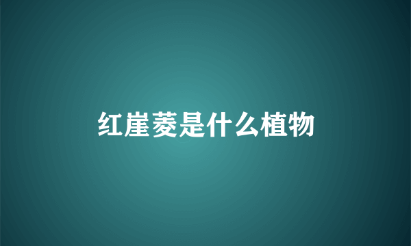 红崖菱是什么植物