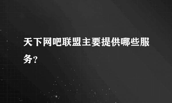 天下网吧联盟主要提供哪些服务？