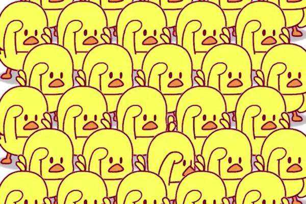 抖音公会排名是固定的吗？