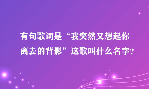 有句歌词是“我突然又想起你离去的背影”这歌叫什么名字？