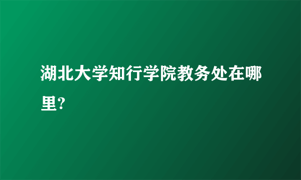 湖北大学知行学院教务处在哪里?