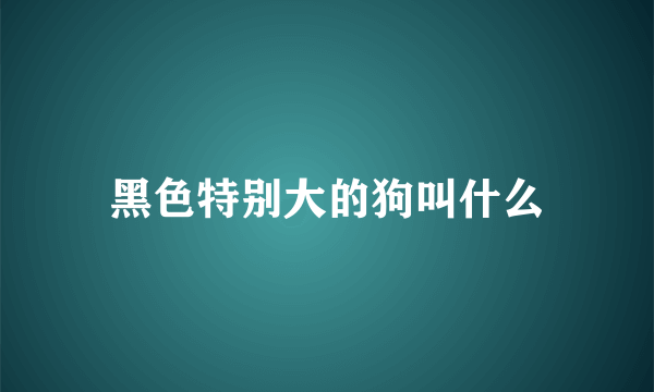 黑色特别大的狗叫什么
